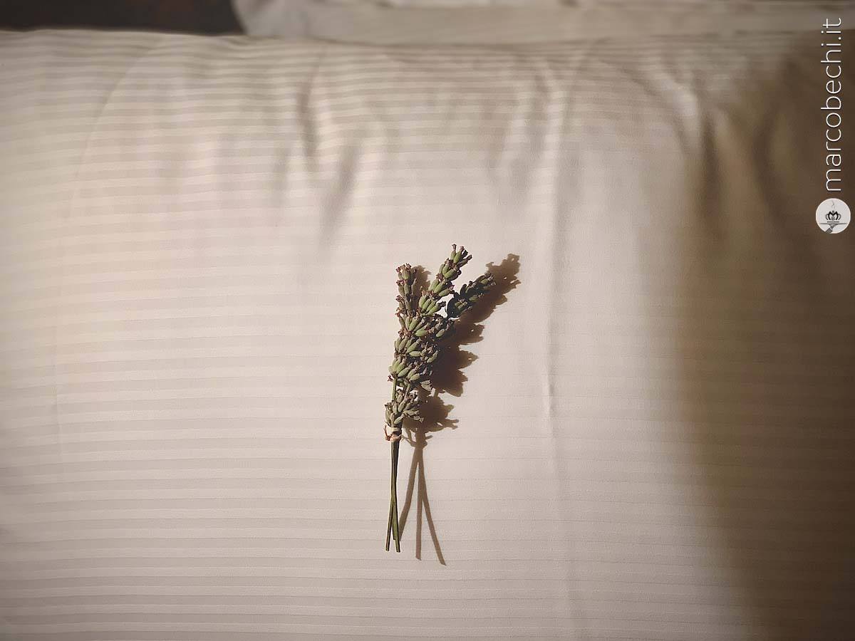 Il cuscino con la lavanda preparato per la notte in camera a Borgo Santo Pietro