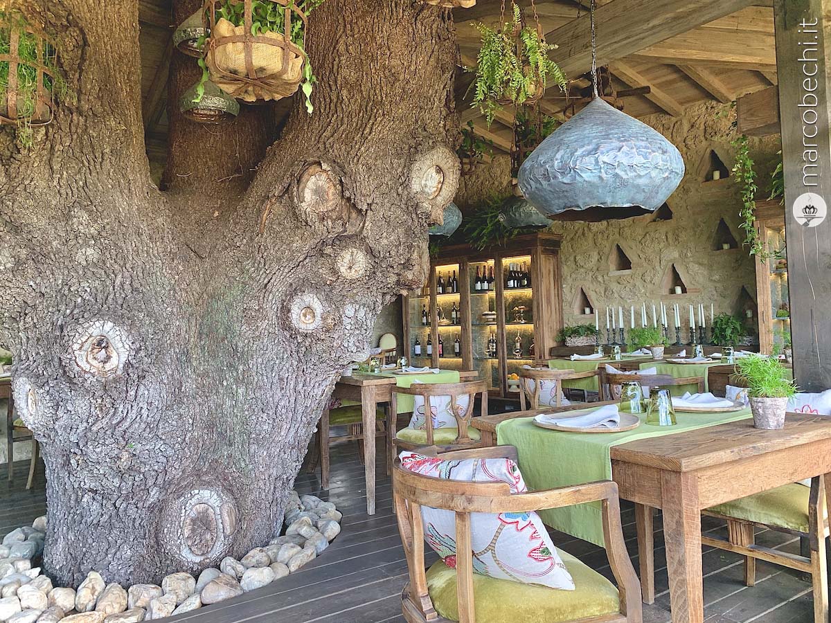 La trattoria sull'Albero a Borgo Santo Pietro - Luxury Resort