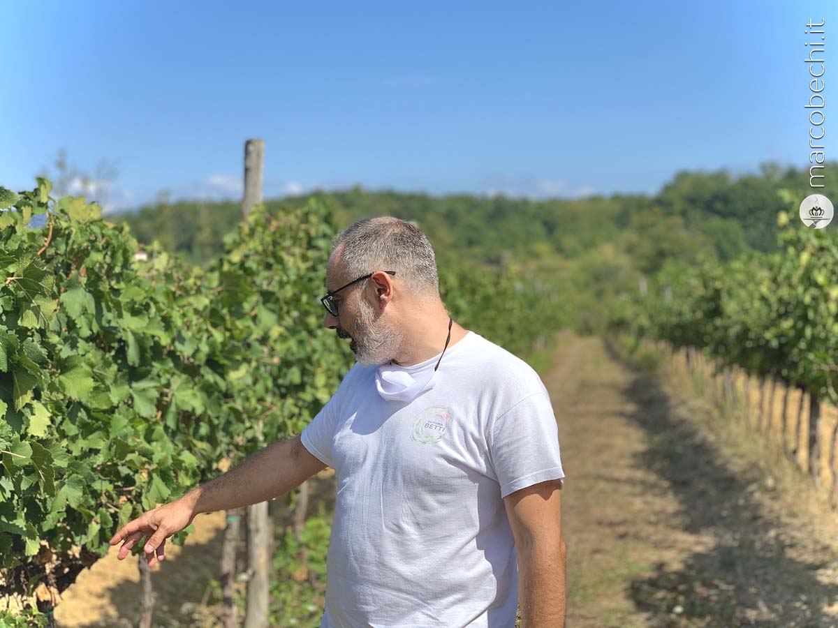 Guido Betti nel vigneto