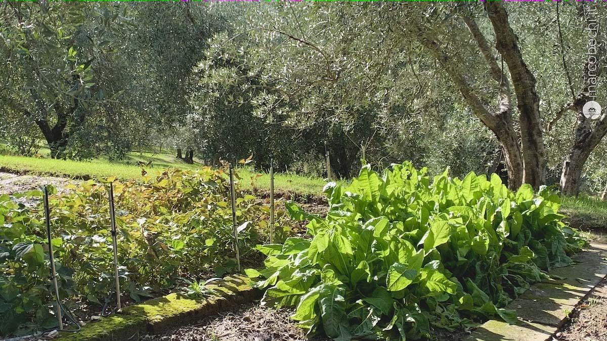 L'area dedicata all'orto e alle aromatiche de Il Castello di Vicarello - Dimora storica in Maremma
