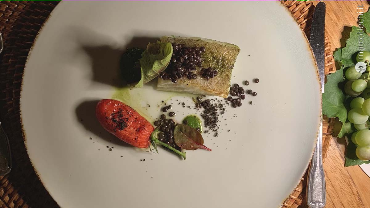 Baccalà in burro cottura, pomodoro alla piastra, olive e basilico Baccalà in burro cottura, pomodoro alla piastra, olive e basilico