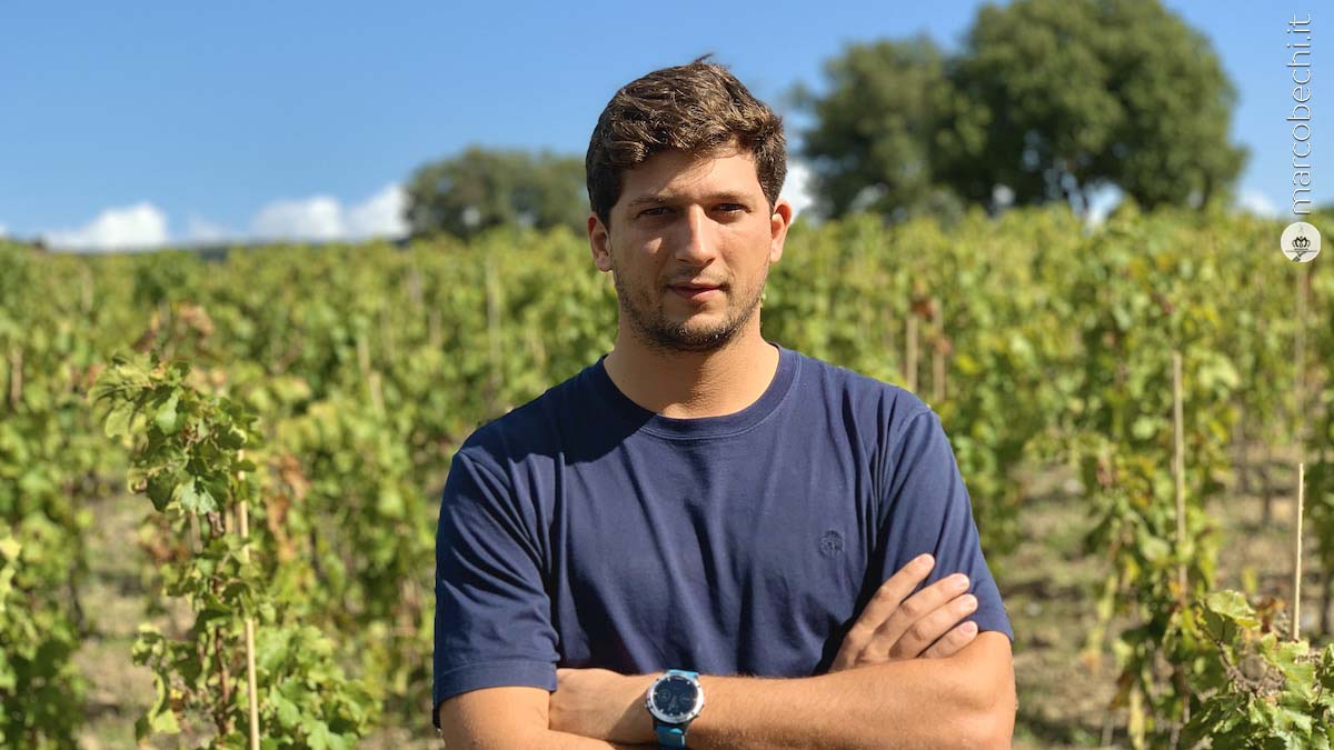 Brando Baccheschi Berti nei suoi vigneti