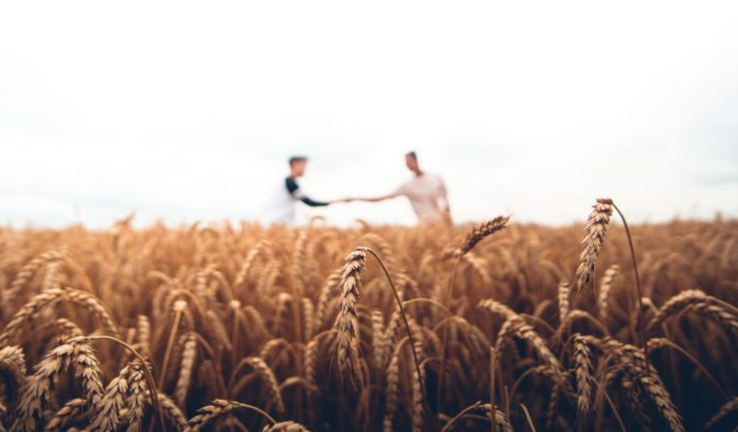 Rete Migranti di Slow Food