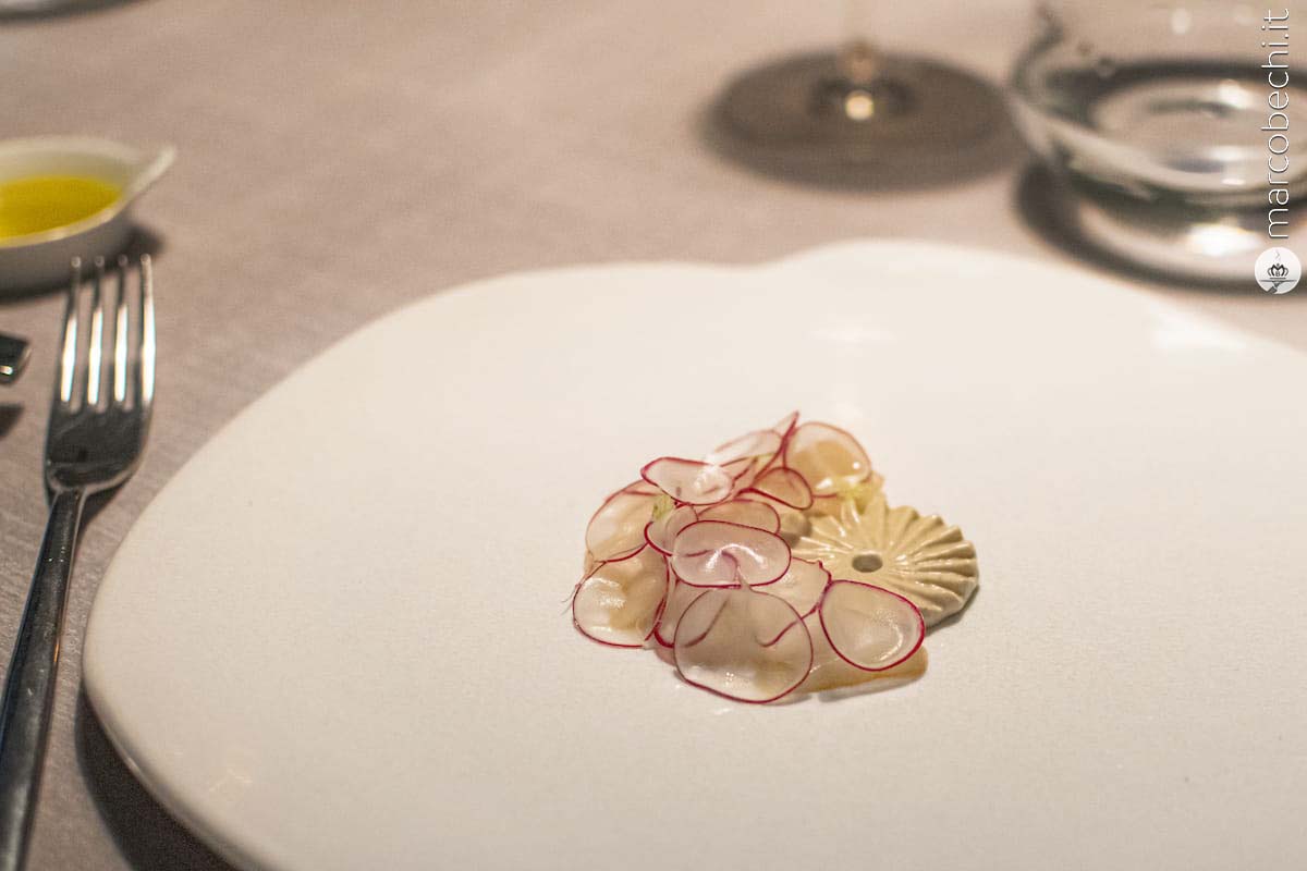 Carpaccio di capasanta, terra di porcini e ravanelli