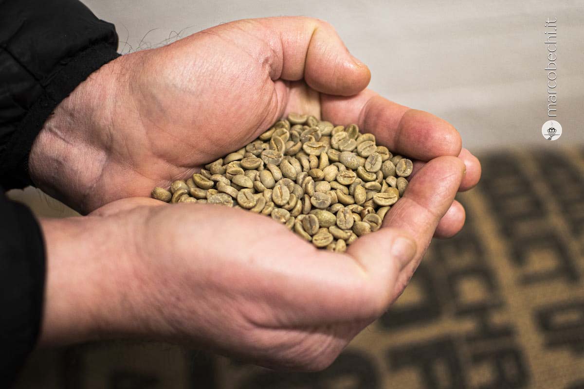 Il caffè da tostare ha un'anima vegetale - La Sosta Specialty Coffee