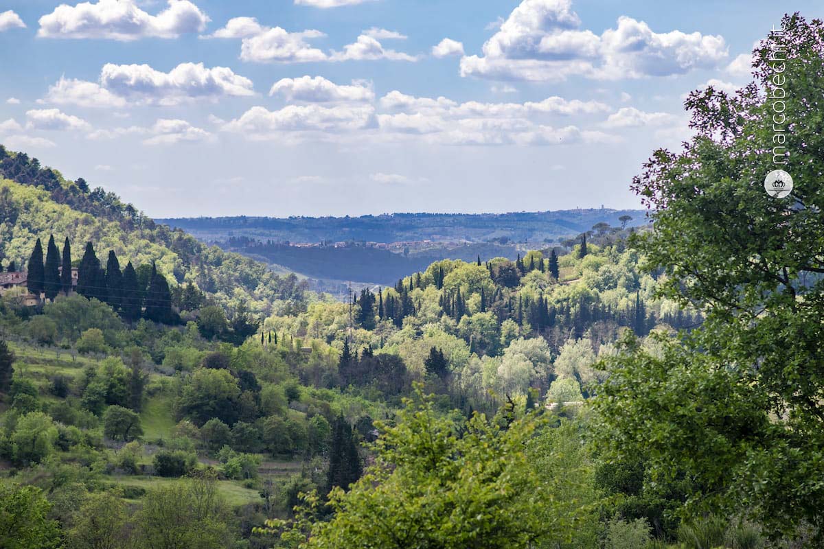 Lo stile Pruneti dall'olio all'iris