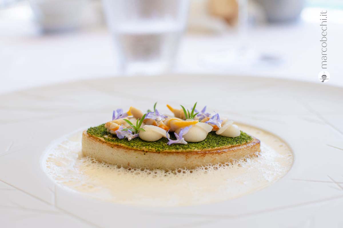 Arselle, beurre blanc, patata cotta in marinatura di vongole e verjus di croccante di pollo
