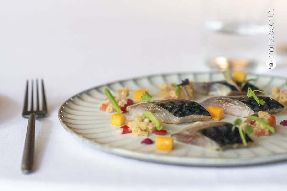 Sgombro marinato in soia e miele, panzanella, radicchio e mango a crudo