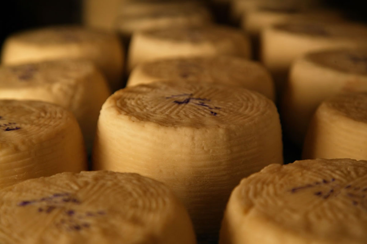 Formaggio pecorino Credits_TPT