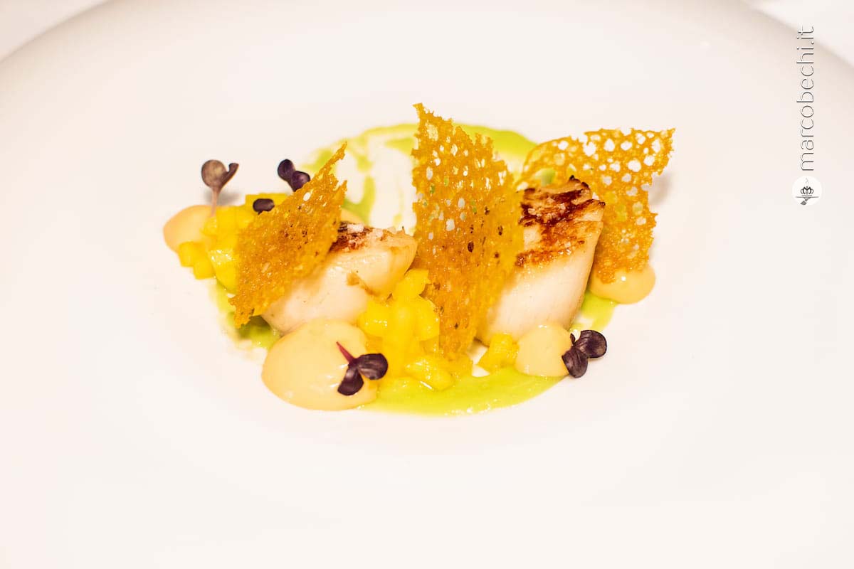 Cappesante appena scottate con crema di avocado, mango, maionese al corallo