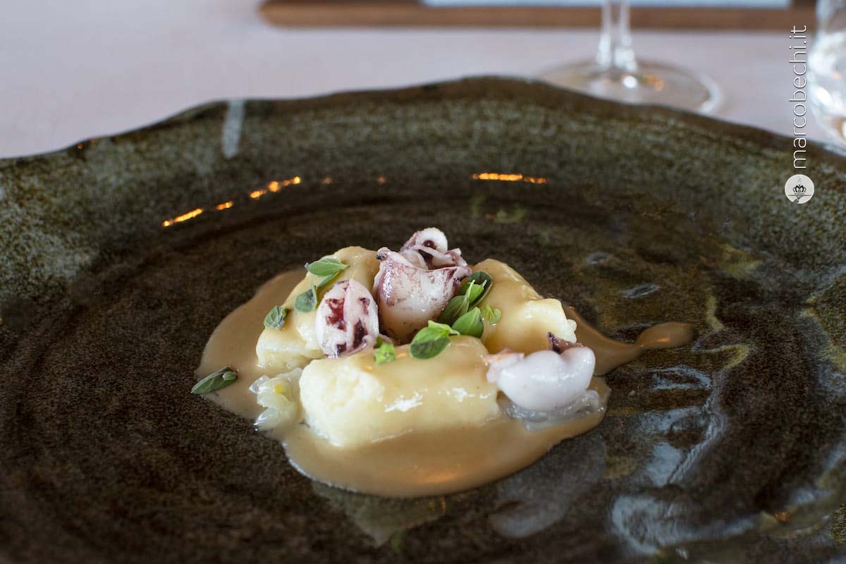 La seppia - Gnocchi di patate e pecorino, salsa di seppie, seppioline sporche e maggiorana