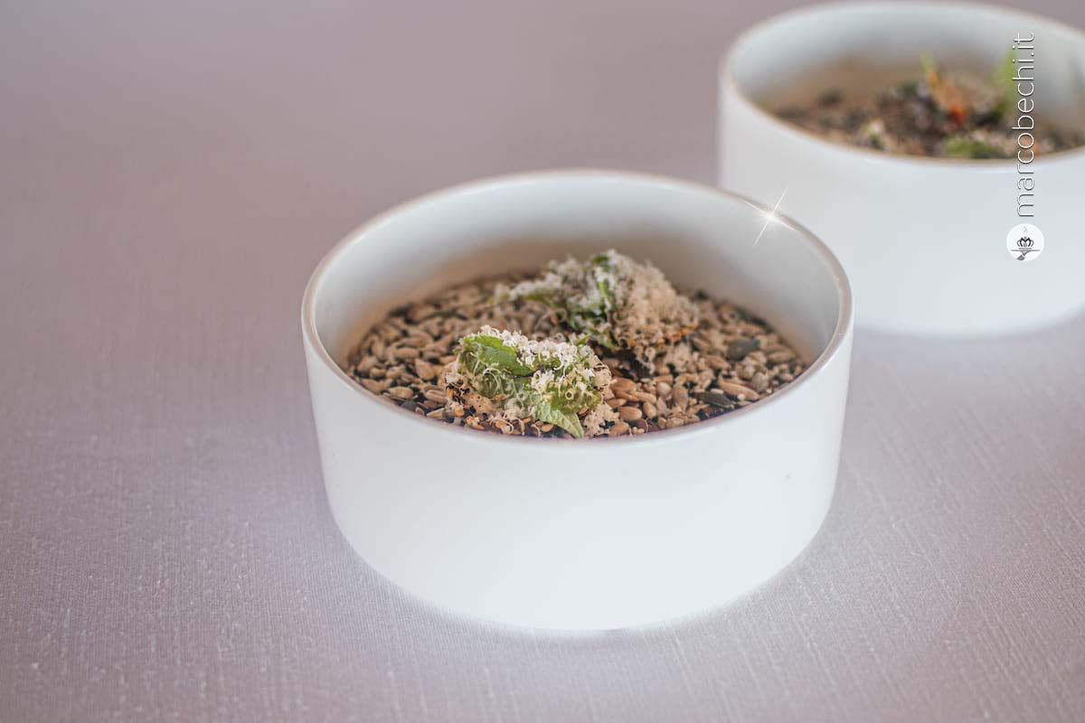 Tra le amuse bouche ecco il cestino di semi, verticale di erbe, mandorla amara