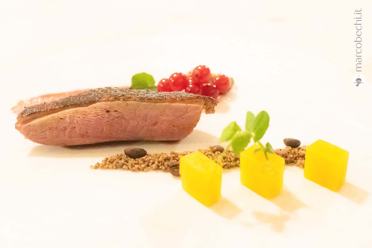 Petto d'anatra, salvia, yogurt ai ribes, ananas