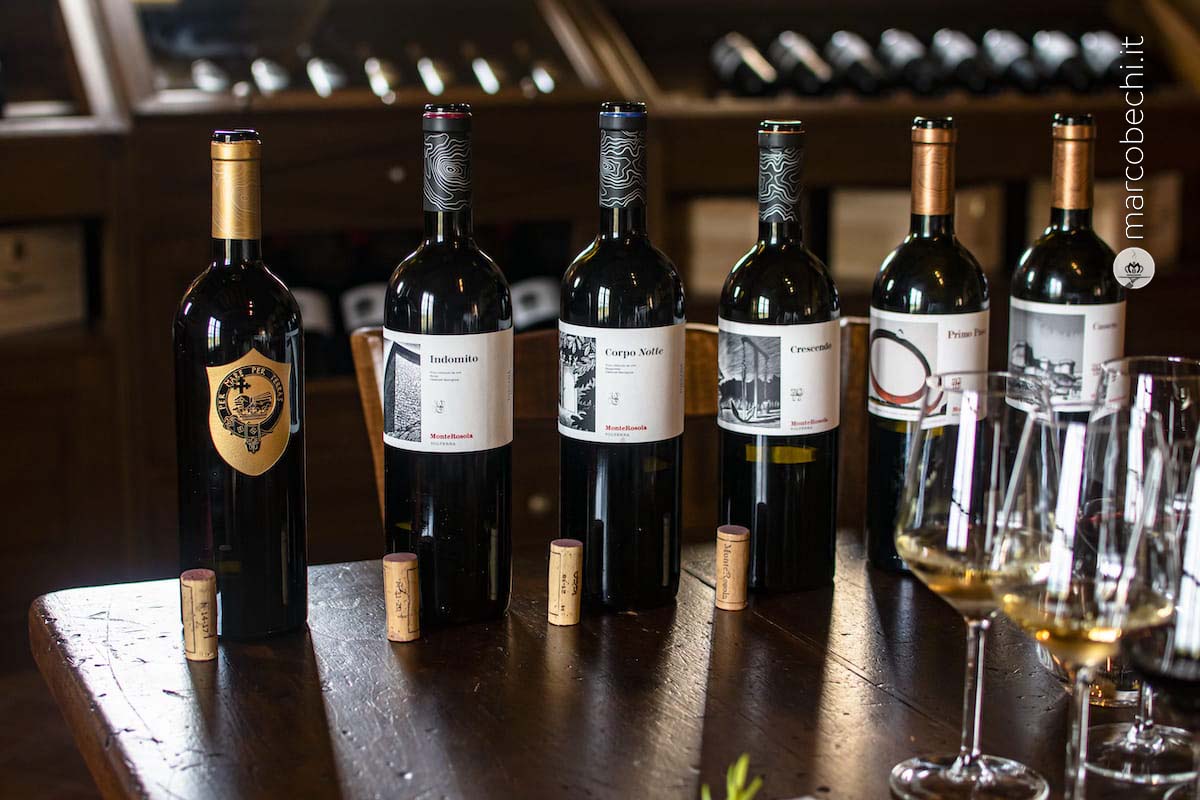 Alcuni dei vini di Monterosola