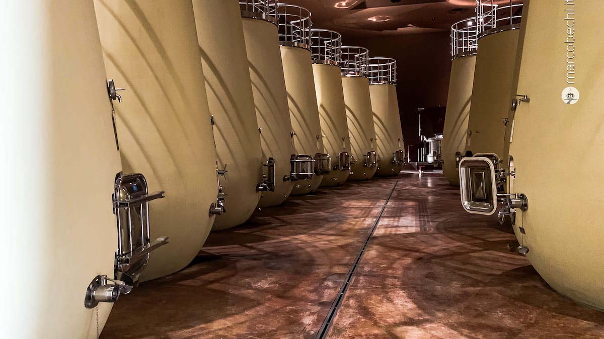 Le botti di vinificazione in cemento