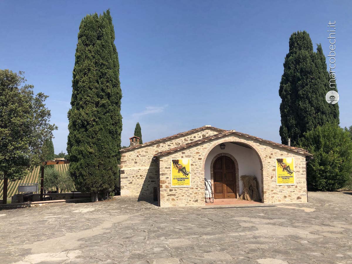 Il Museo dedicato a Italo Zingarelli in occasione di 50 anni dalla fondazione