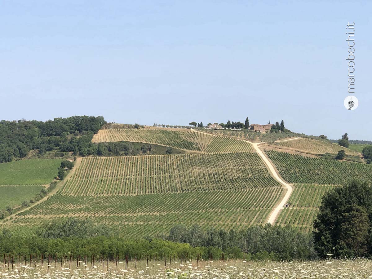 La Riserva di Fizzano di Rocca delle Macie