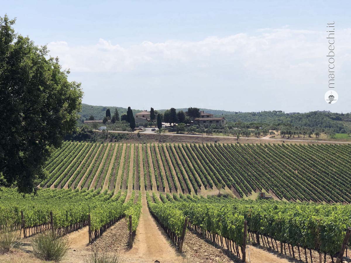 Panoramica di Rocca della Macie