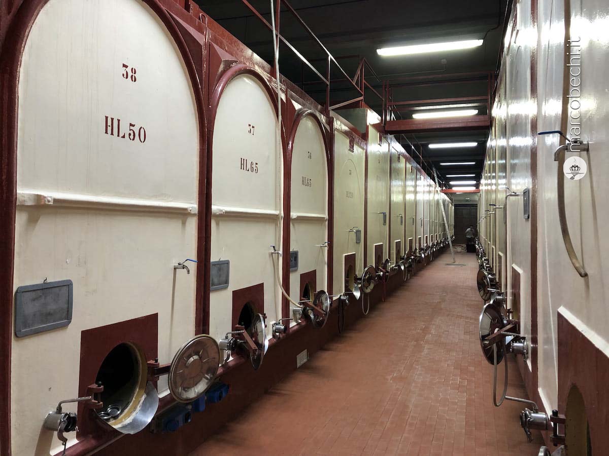 La cantina con i tini in cemento a Rocca delle Macie