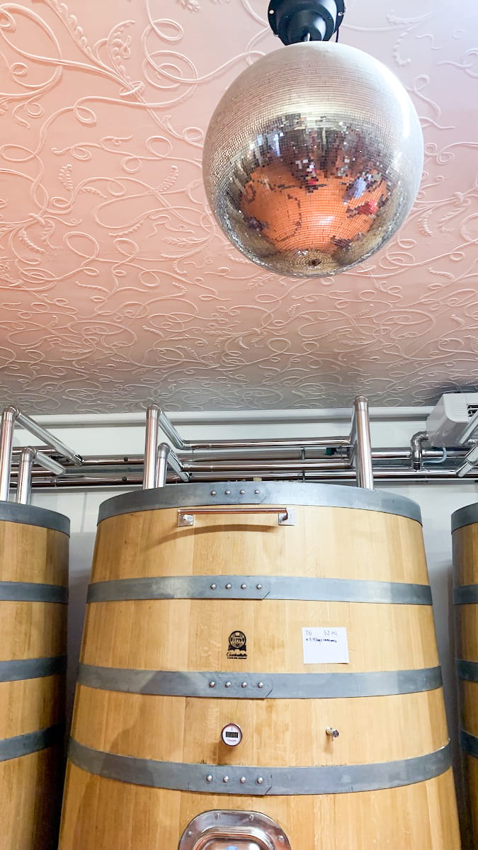 Cantina o discoteca da Bibi Graetz a Fiesole?