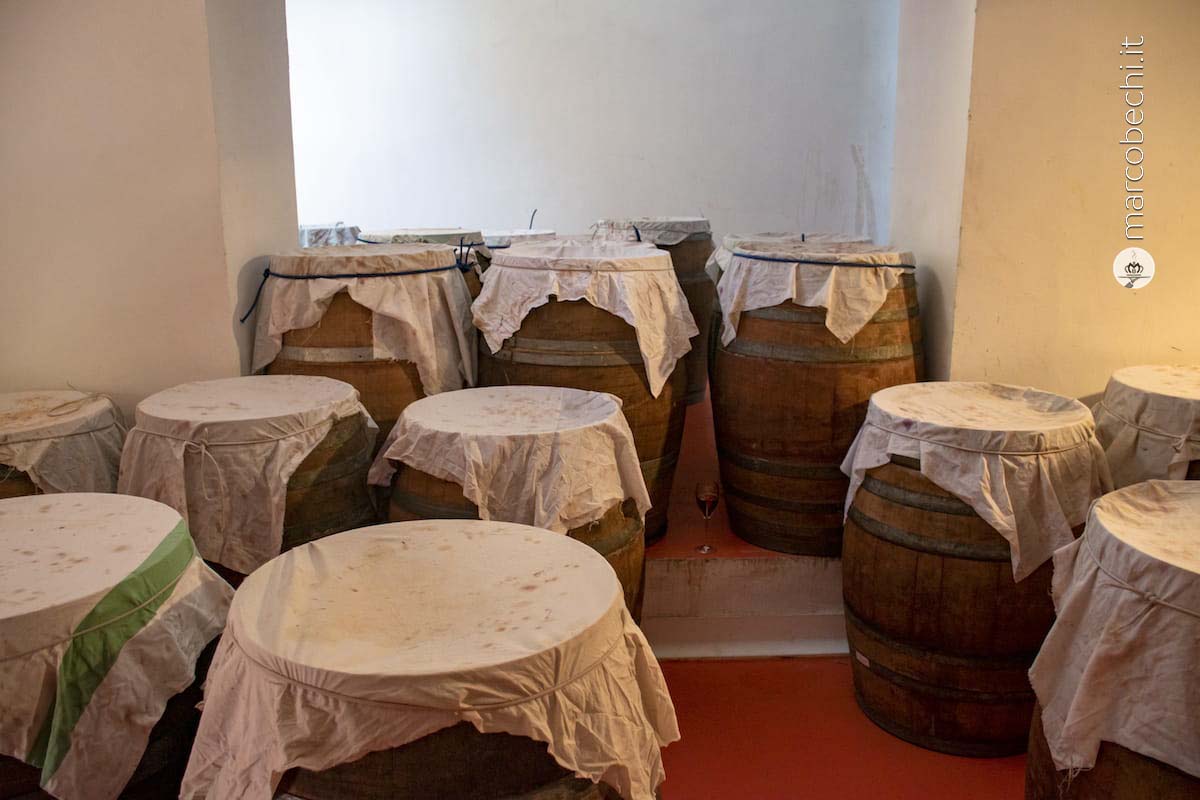 La fermentazione delle uve