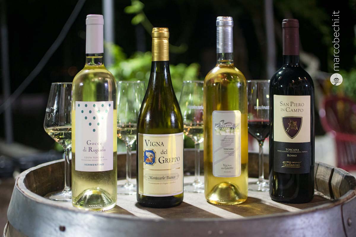 i vini dell’Azienda Agricola Stefanini Tronchetti e della Fattoria Vigna del Greppo