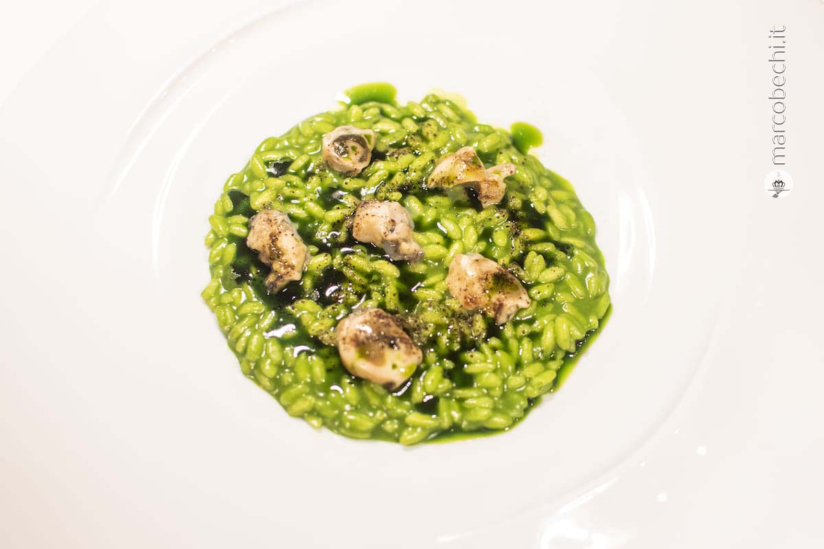Risotto alle ostriche affumicate e shiso
