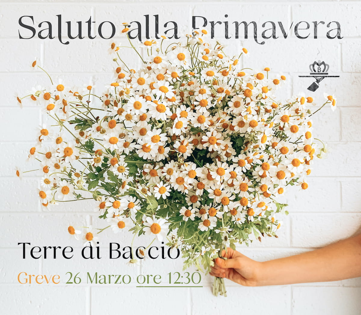 Saluto alla Primavera a Terre di Baccio a Greve in Chianti