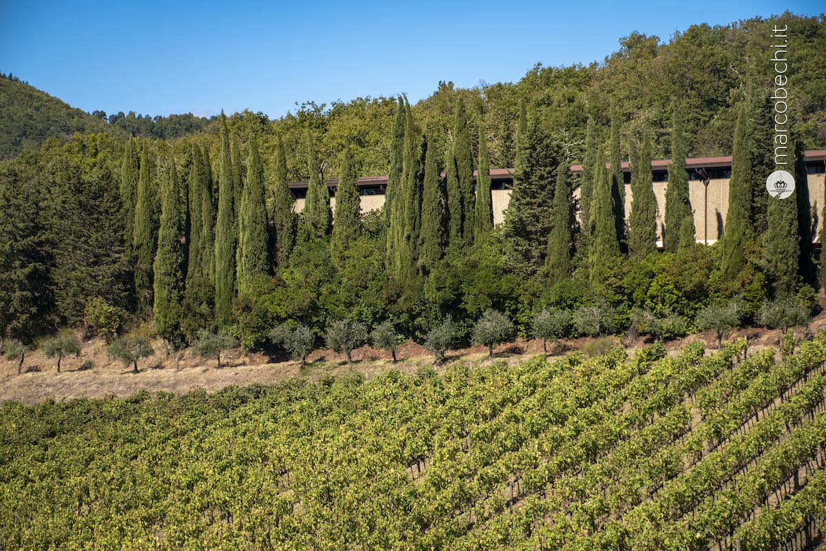 La cantina di vinificazione del Castello di Albola
