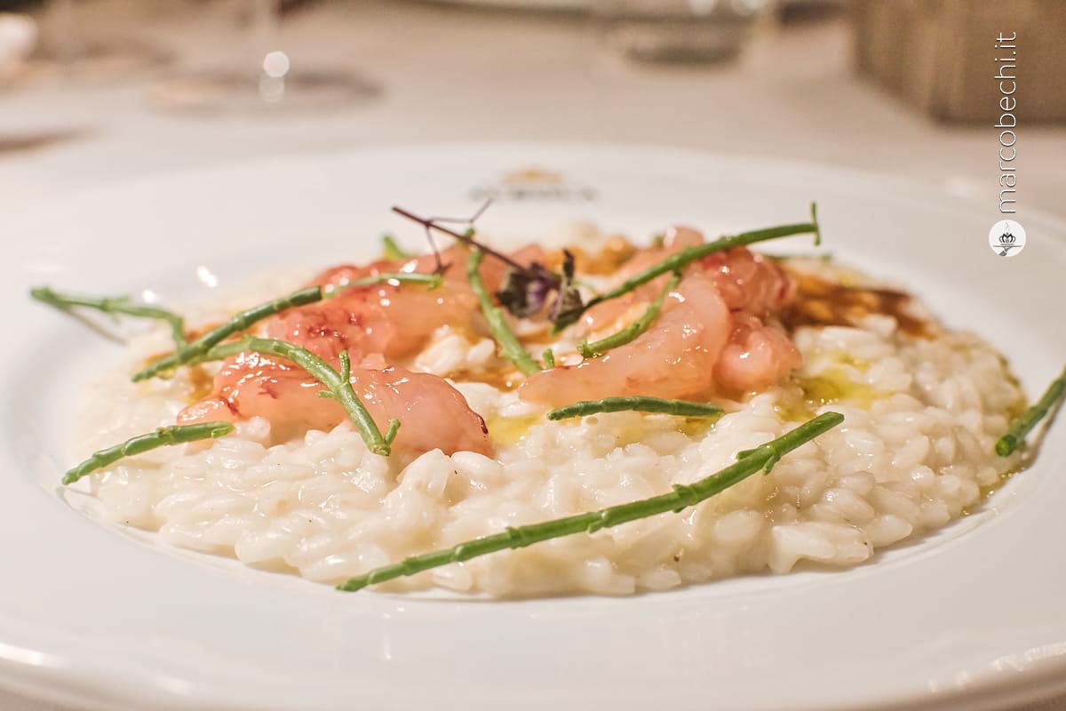 Risotto con crudo di gamberi e salicornia