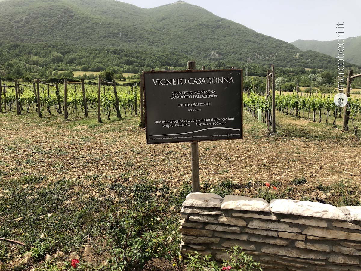 Ristorante Casadonna Reale *** di Niko Romito a Castel di Sangro (AQ)