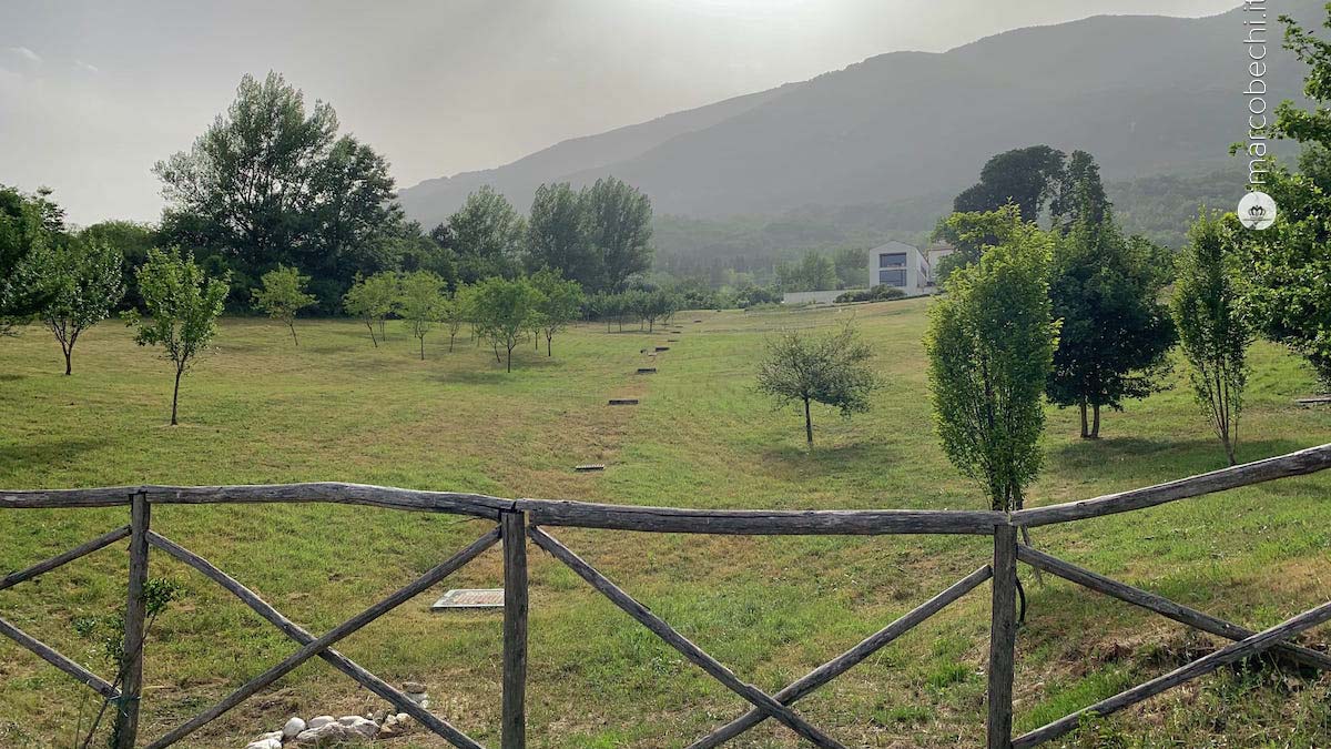 Casadonna Reale