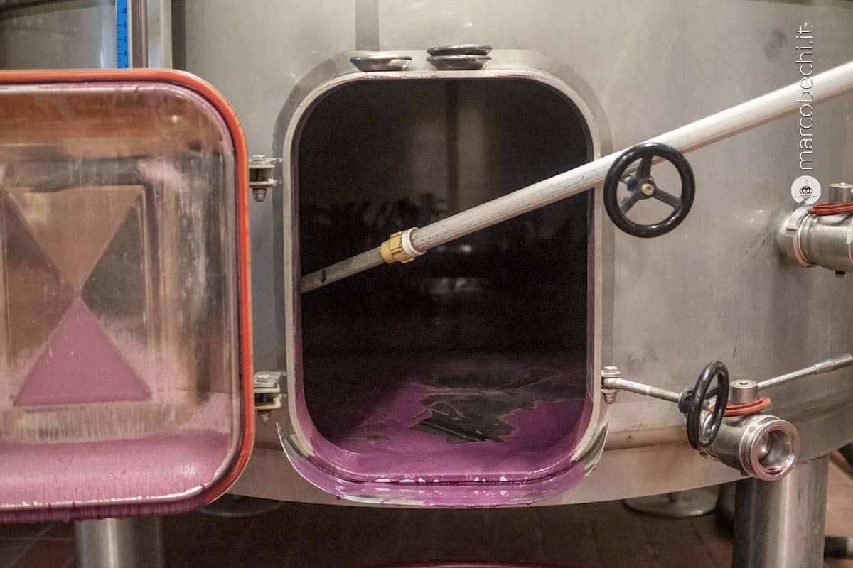 La cantina di vinivicazione