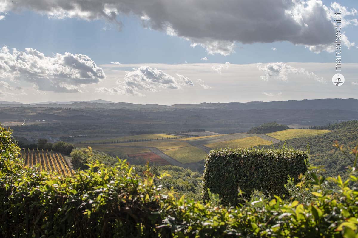 La vista da Argiano sulla campagna circostante