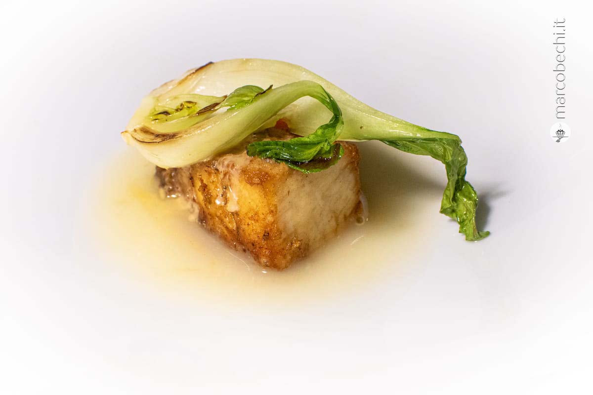 Trancio di ombrina marinato e fritto, pesto di pinoli, riduzione di amaro, pak-choi e ravanelli