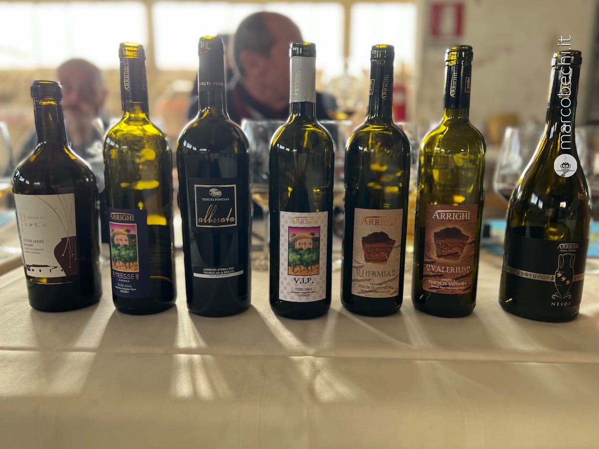 I vini assaggiati durante la degustazione, non solo italiani
