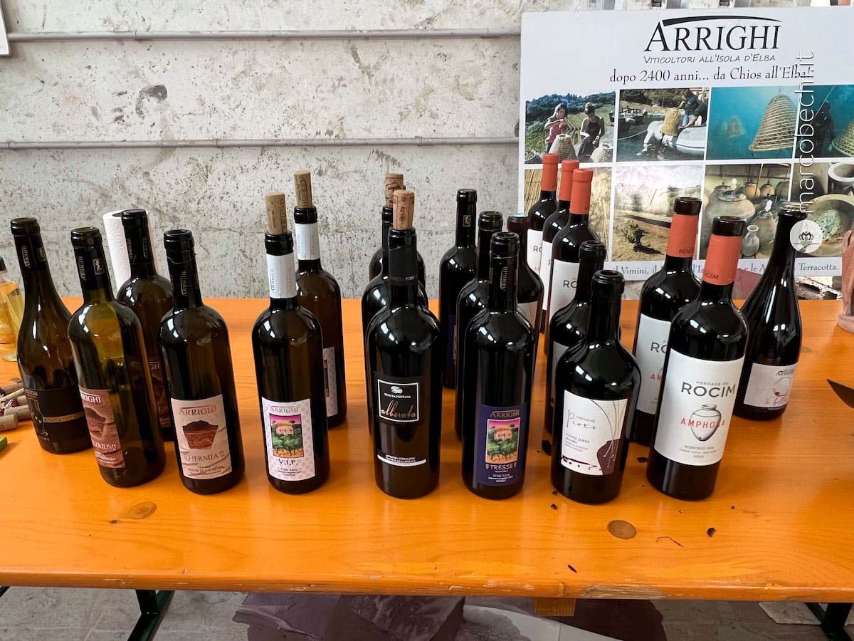 I vini in degustazione