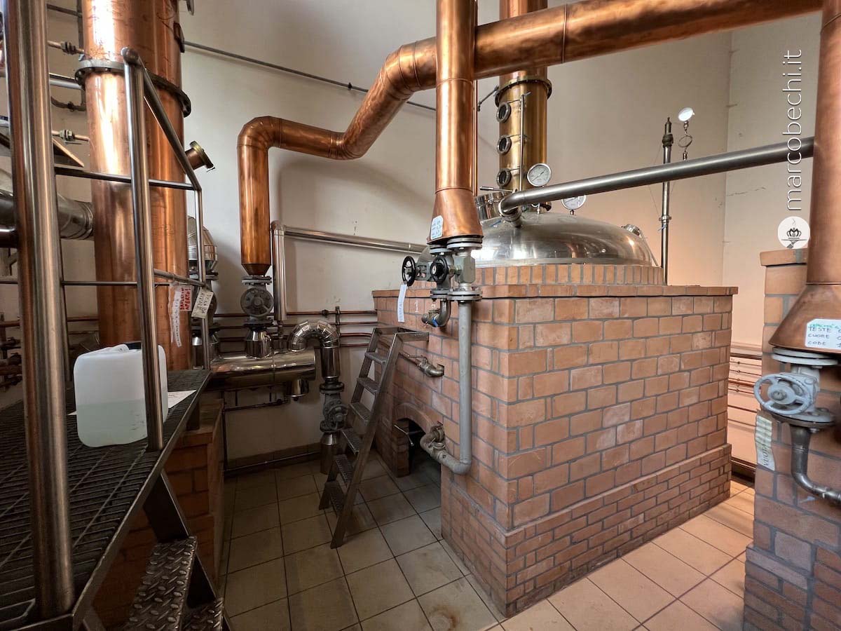 I distillatori in funzione dal 2004