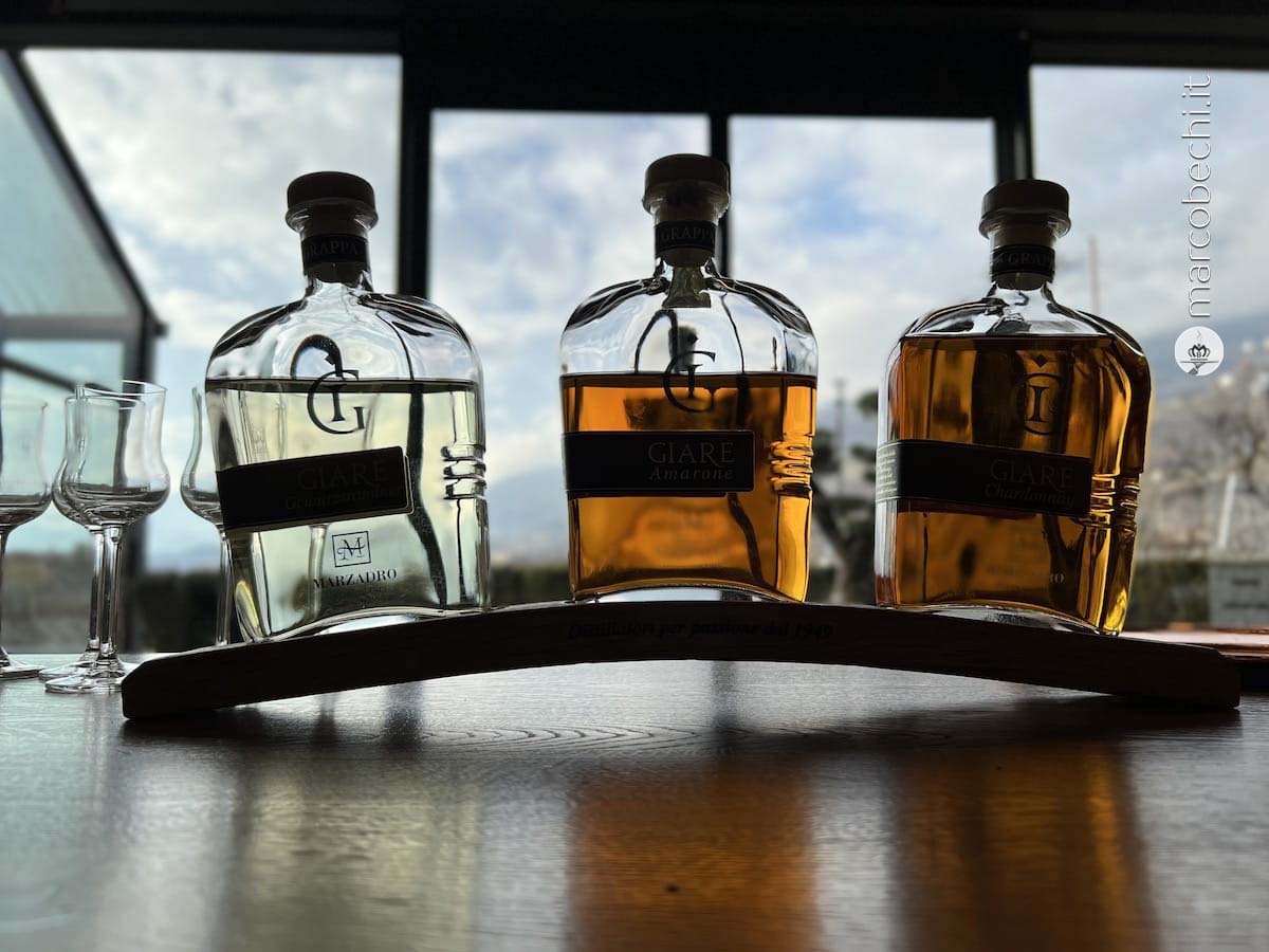Distilleria Marzadro in Trentino dal 1949