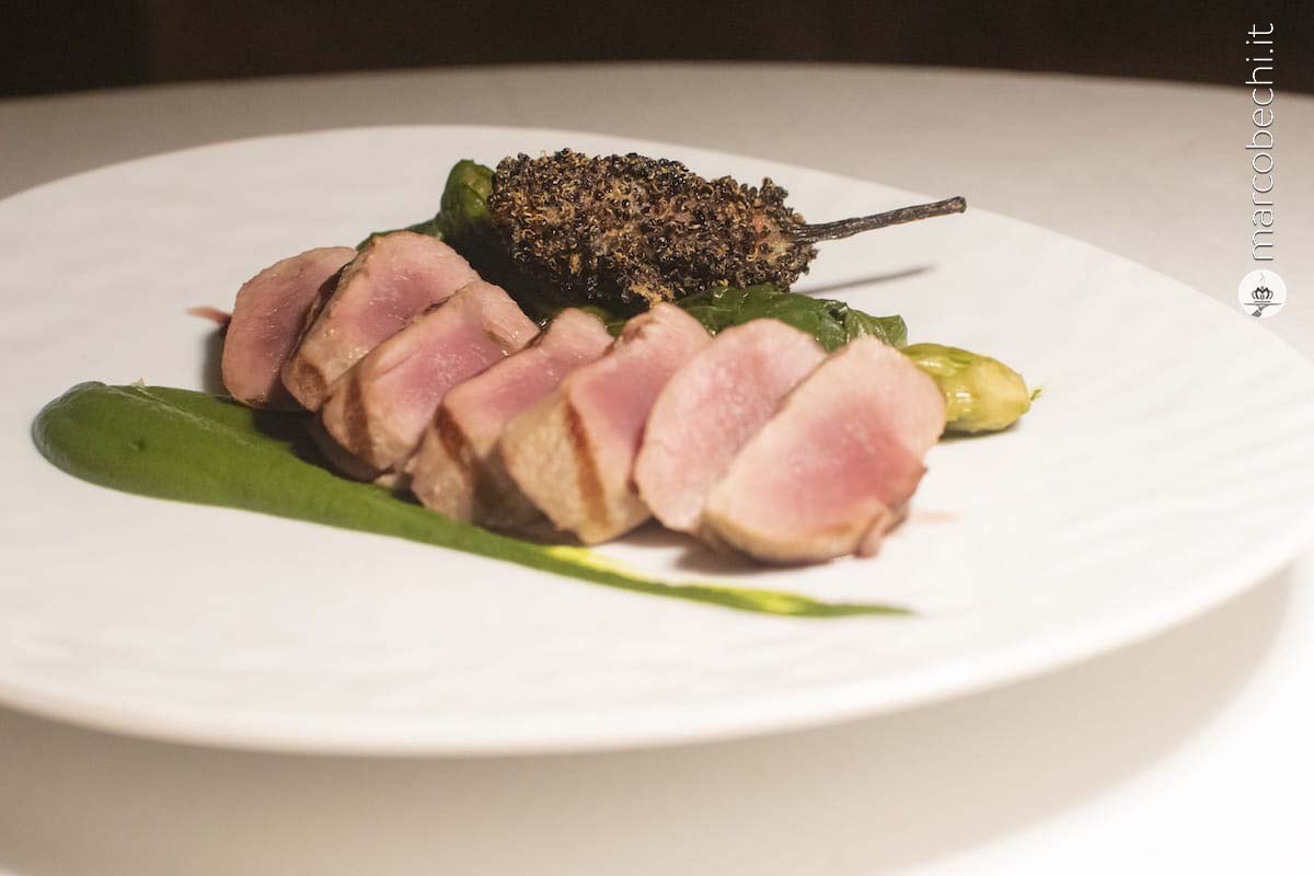 Tonno cotto a bassa temperatura con purea di spinaci e peperoncino con quinoa croccante