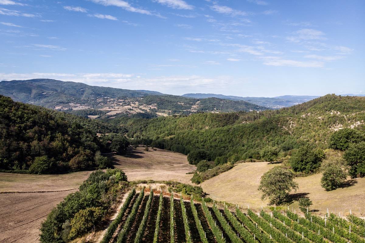 Il Forteto
