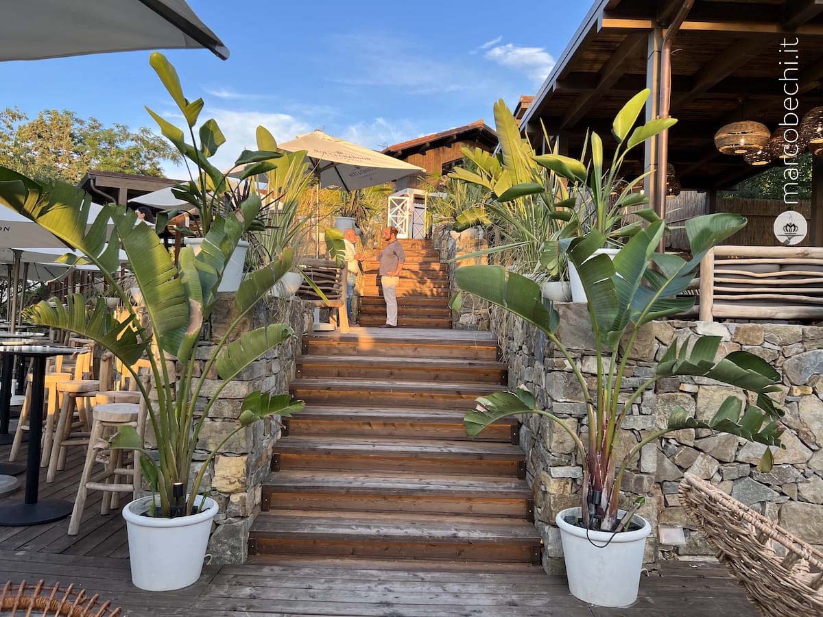 The Lodge Jungle