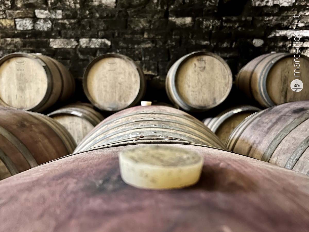 Le botti che contengono il vino di Villa Calcinaia