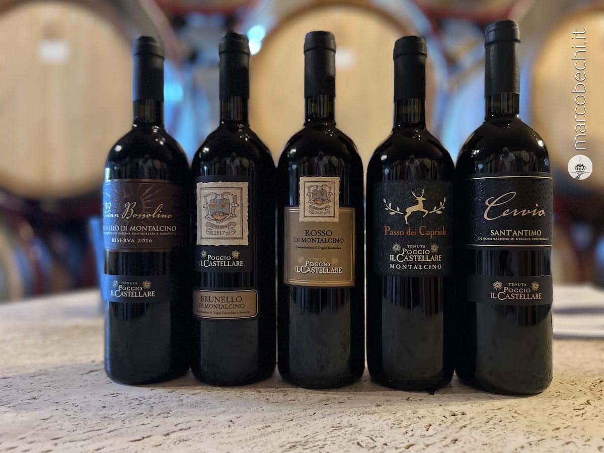 I vini in degustazione di Tenute Toscane
