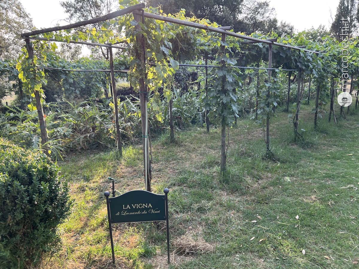 La vigna di Leonardo da Vinci