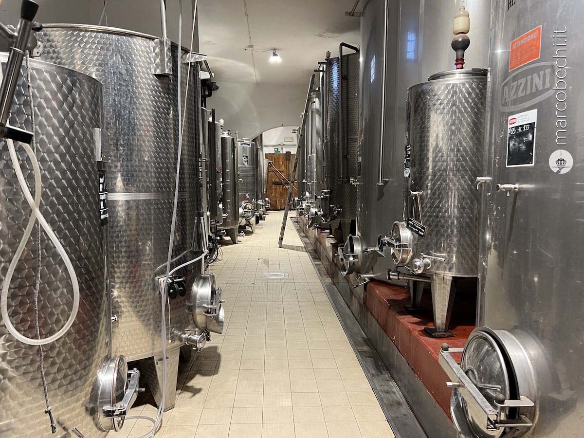 La vinificazione a Villa Dianella