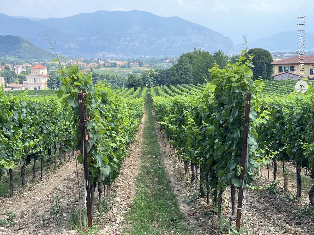 Dal 1977 Bellavista in Franciacorta è la mirabile idea di Vittorio Moretti