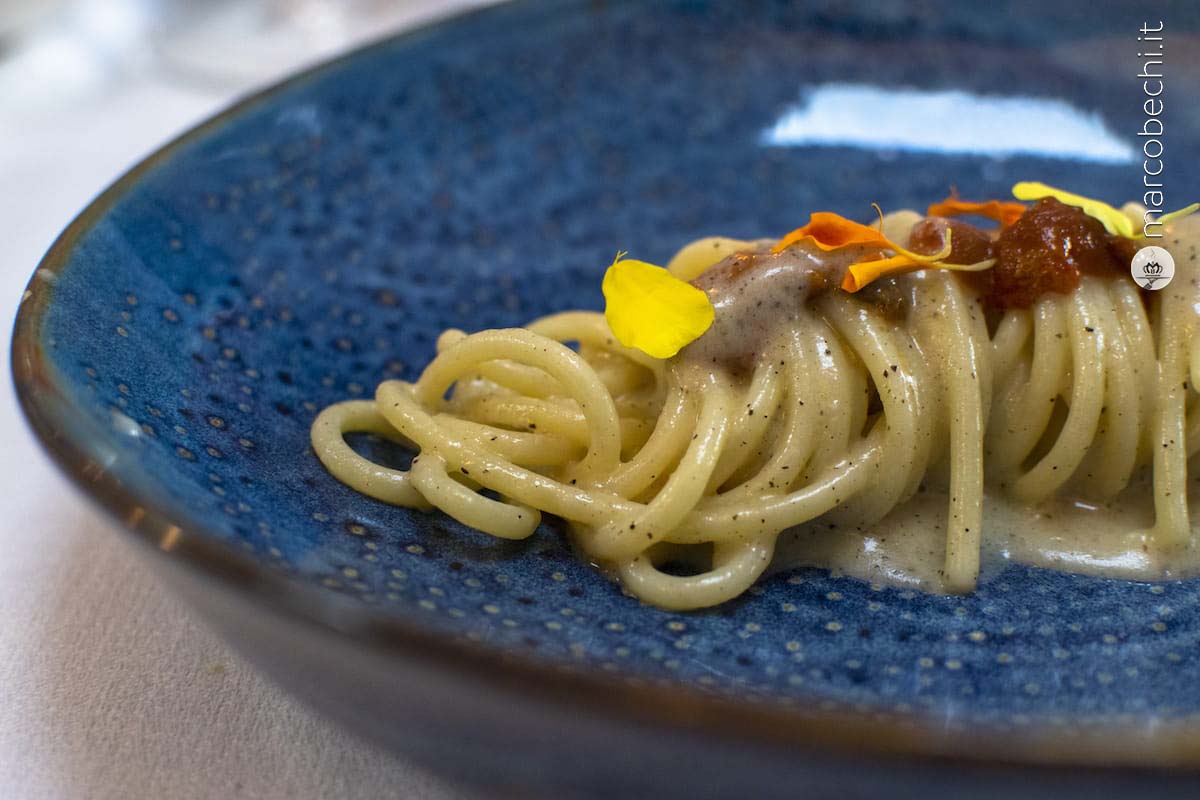 Spaghettone biologico, cacio, pepe e riccio di mare