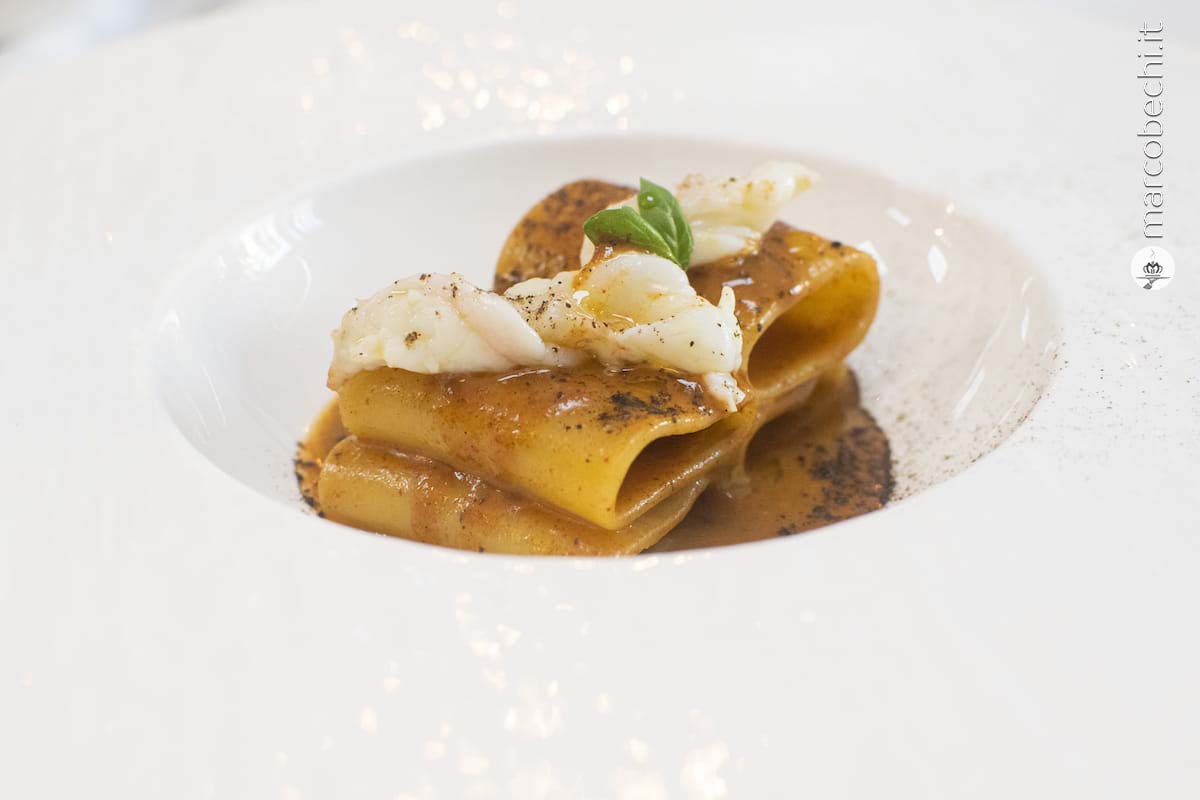 Pacchero all'anemone di mare con scampi e polvere di lime ossidato