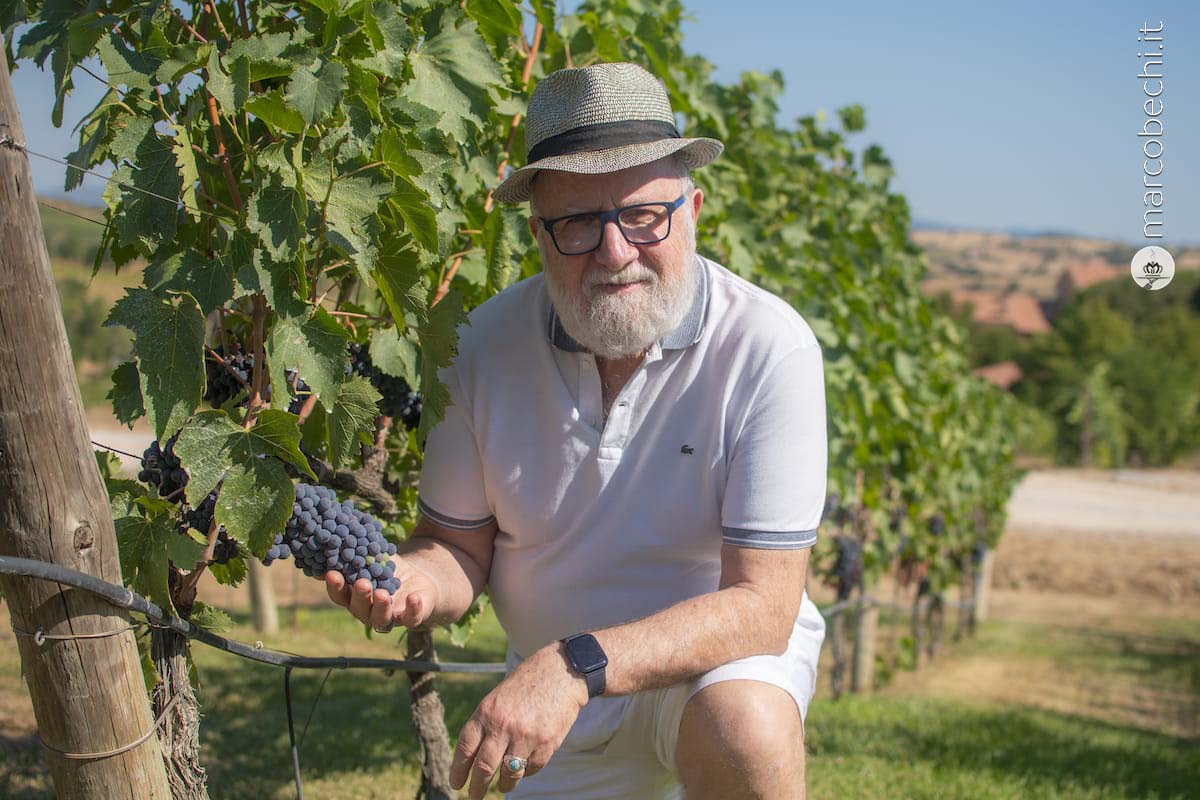 L'uva quasi pronta da vendemmiare